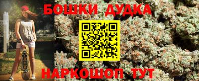 индика Краснознаменск