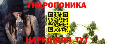 индика Краснознаменск