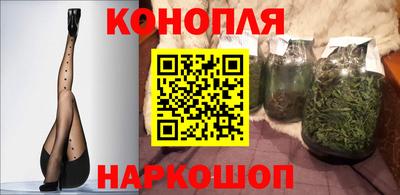индика Краснознаменск